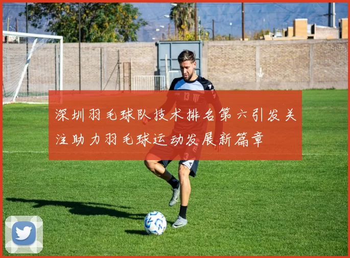 深圳羽毛球队技术排名第六引发关注助力羽毛球运动发展新篇章