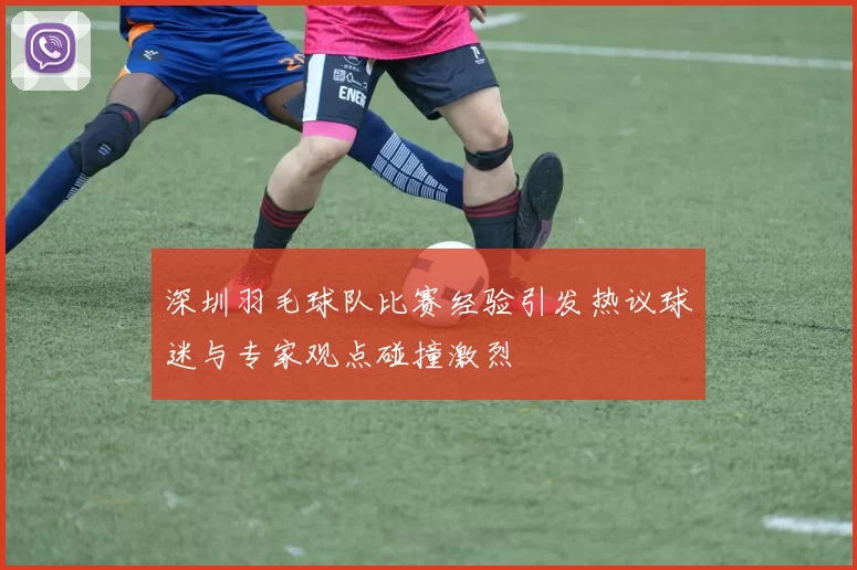 深圳羽毛球队比赛经验引发热议球迷与专家观点碰撞激烈
