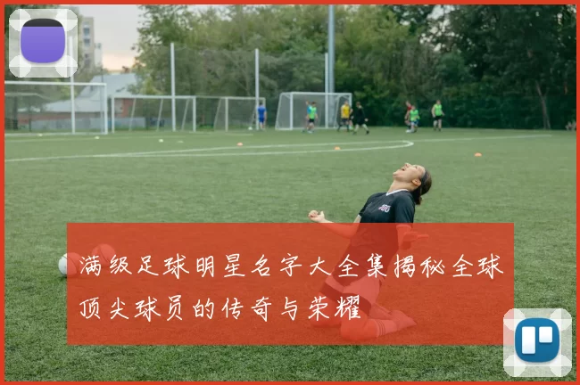满级足球明星名字大全集揭秘全球顶尖球员的传奇与荣耀