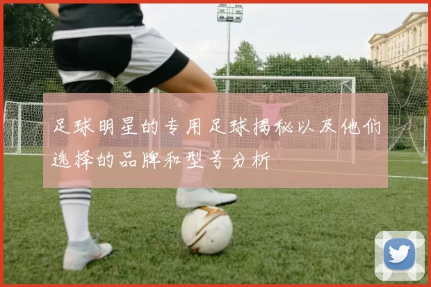 足球明星的专用足球揭秘以及他们选择的品牌和型号分析