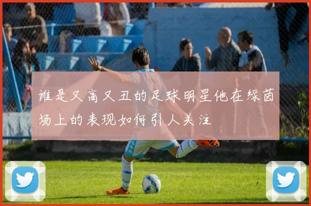 谁是又高又丑的足球明星他在绿茵场上的表现如何引人关注