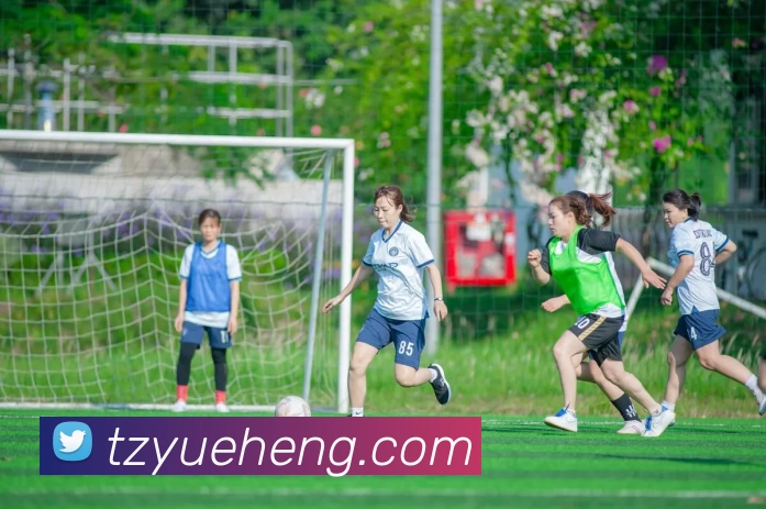 乐鱼官网登录入口服务体系